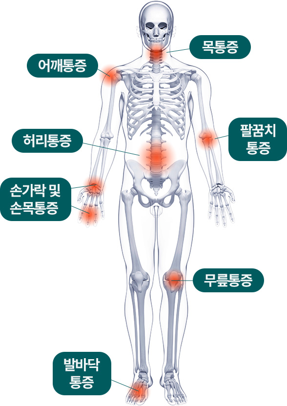 어깨통증 / 목통증 / 허리통증 / 팔꿈치 통증 / 손가락 및 손목통증 / 무릎통증 / 발바닥통증